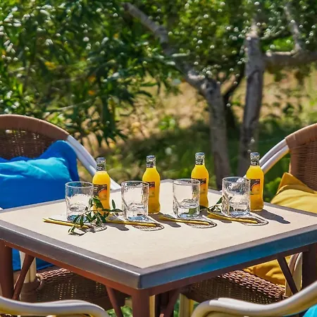 Ideal Mallorca - Carabassot Séjour à la campagne Pollença